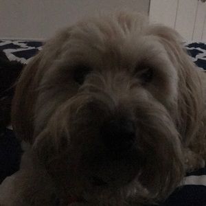 Meet your Posher, Jodi